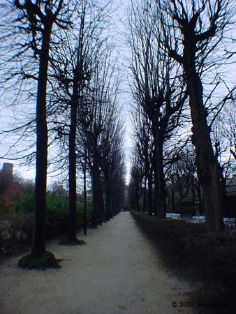 DSC00122
