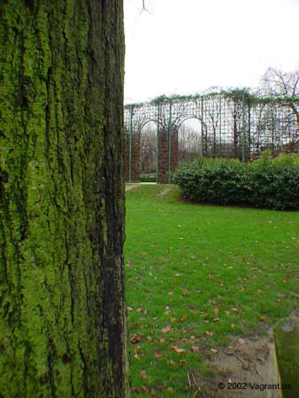 DSC00135