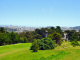DSC00028_edited