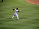 DSC00255_edited