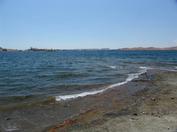DSC00665