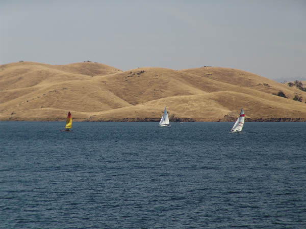 DSC00714