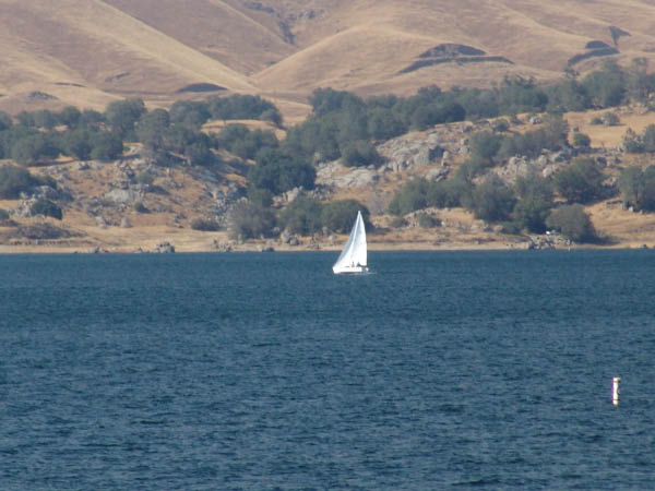DSC00724