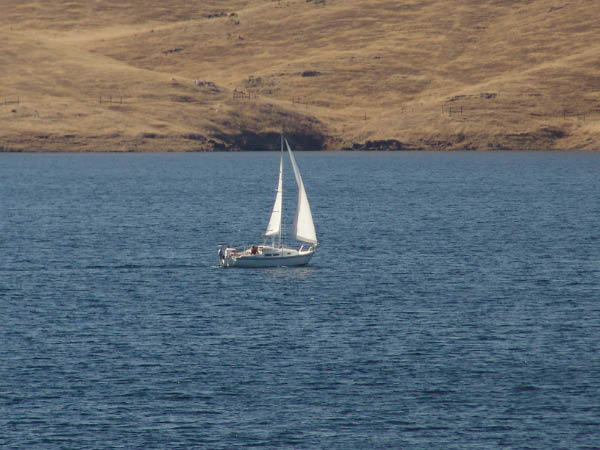 DSC00768