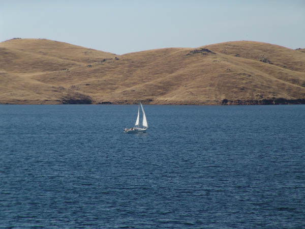 DSC00770