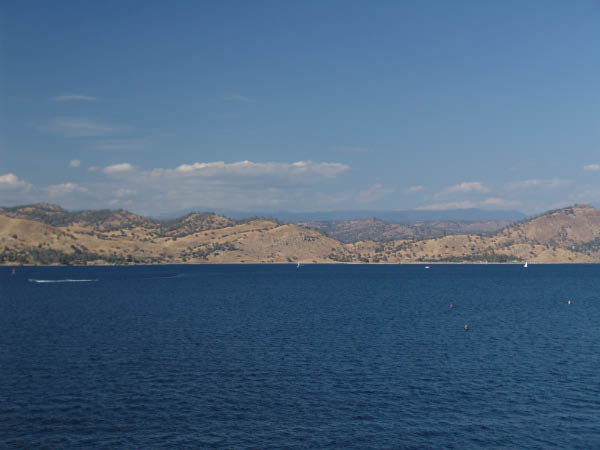 DSC00781