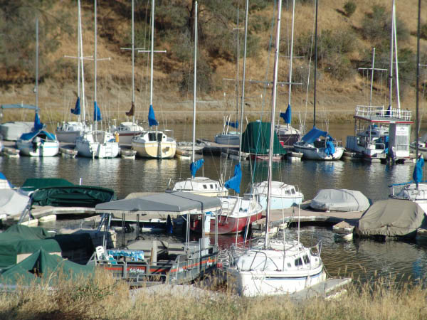 DSC00804