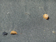 DSC00675