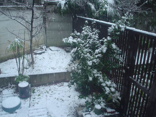 DSC00907