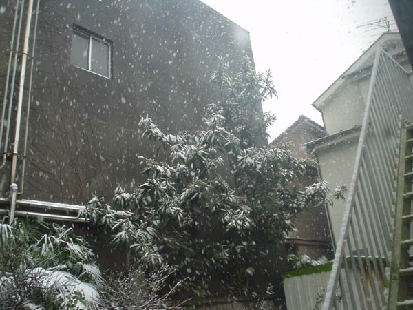 DSC00909