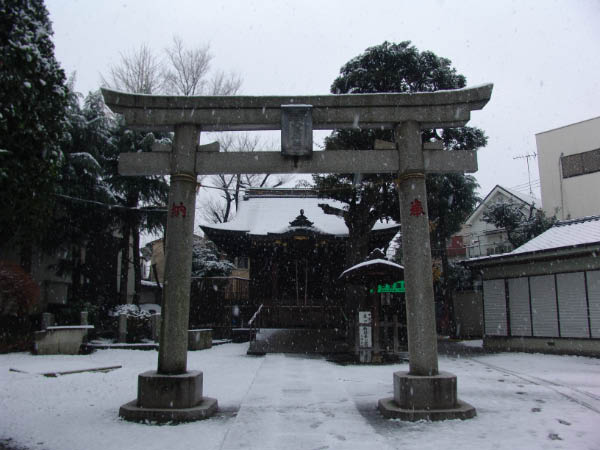 DSC03501