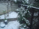 DSC00907