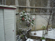 DSC00908