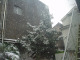 DSC00909