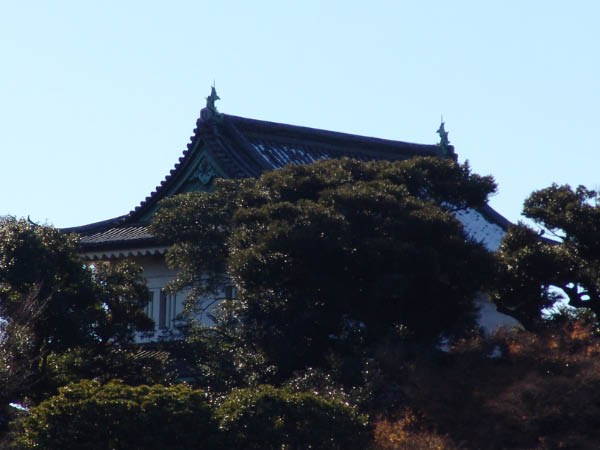 DSC03547