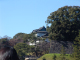 DSC03503