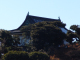 DSC03547