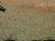 DSC03631