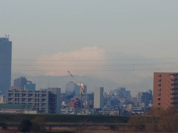 DSC03883