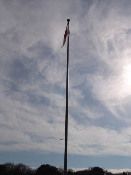 DSC03946