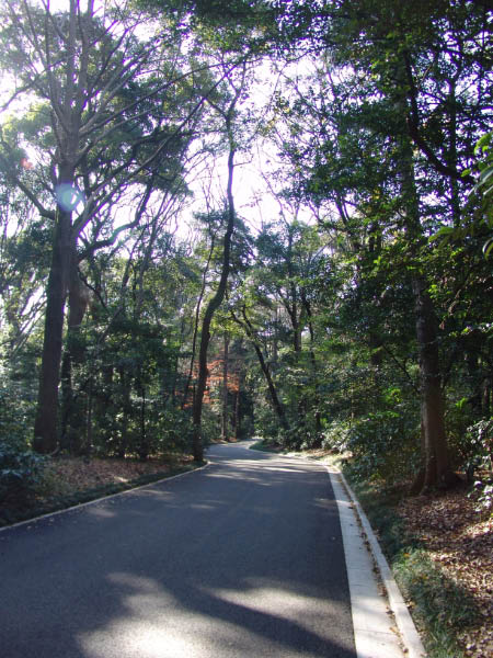 DSC03994