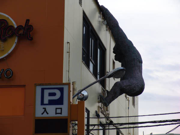 DSC04101