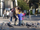 DSC04124