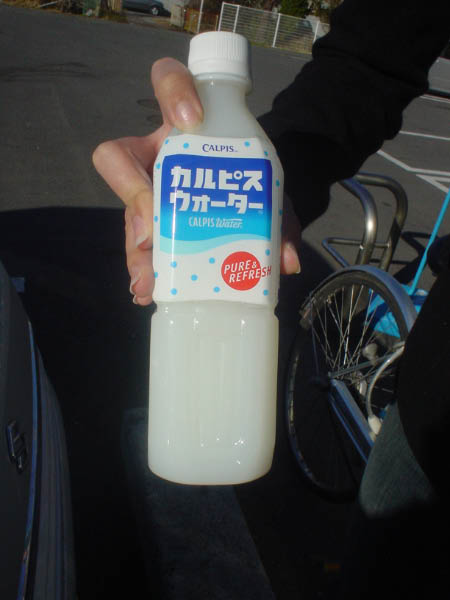 DSC01138