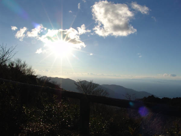 DSC04194