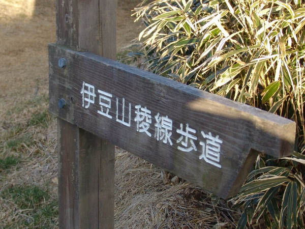 DSC04206