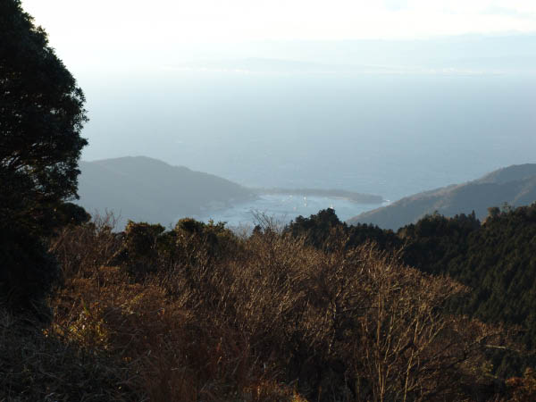 DSC04210