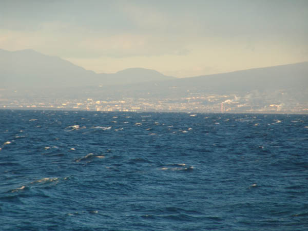 DSC04237