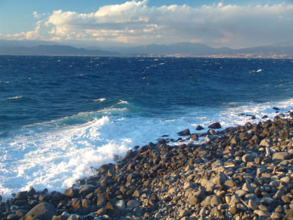 DSC04239