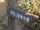 DSC04206