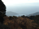 DSC04210
