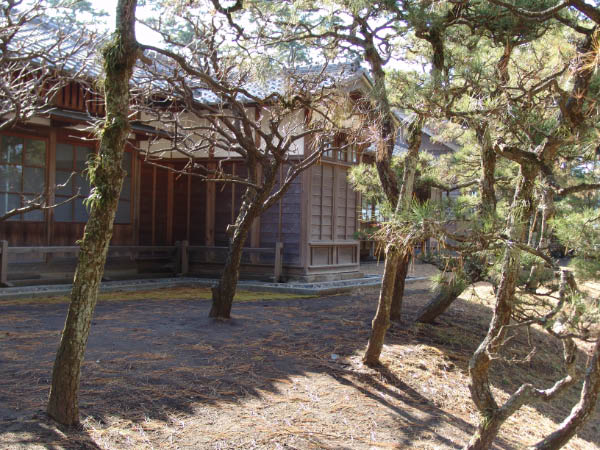 DSC04452
