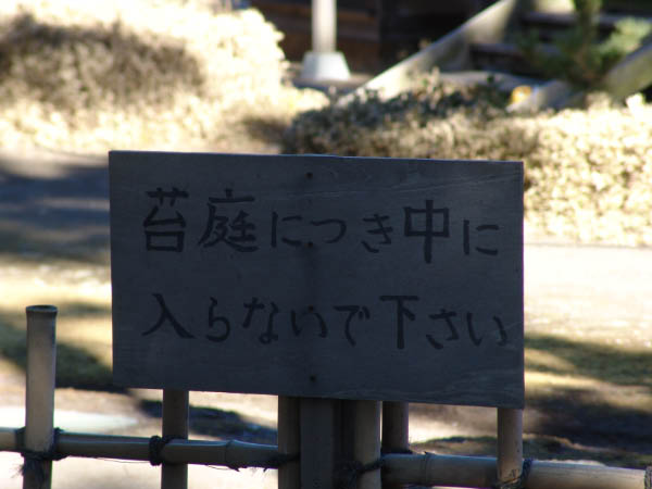 DSC04482