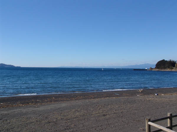 DSC04494