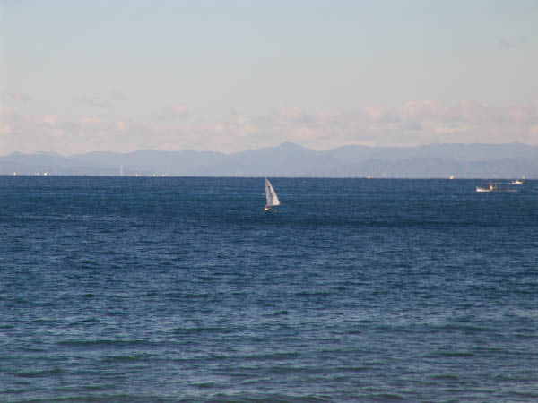 DSC04495