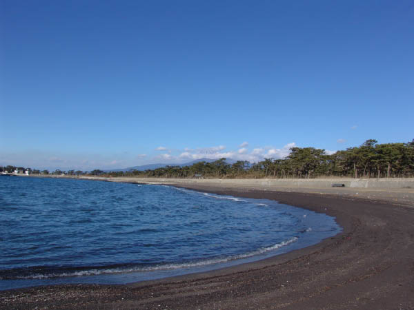 DSC04527