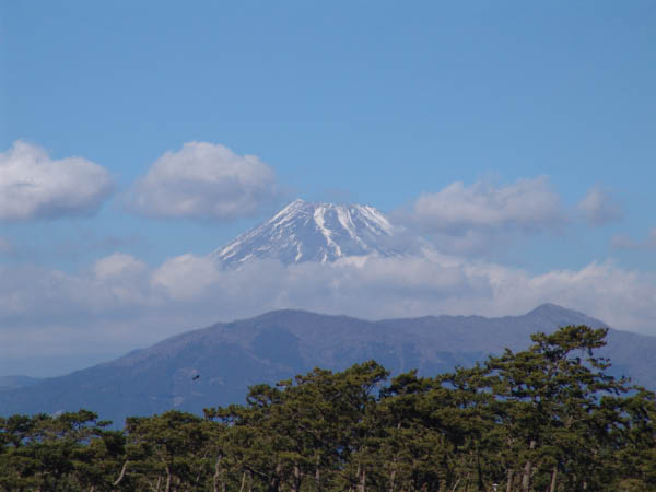 DSC04583