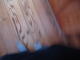 DSC04363