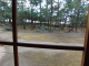 DSC04393