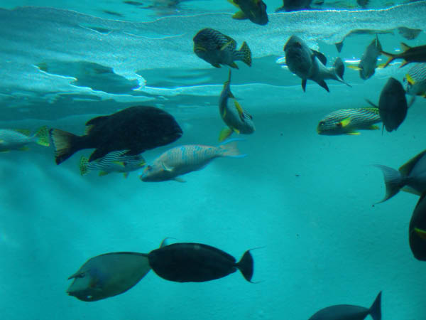 DSC04901