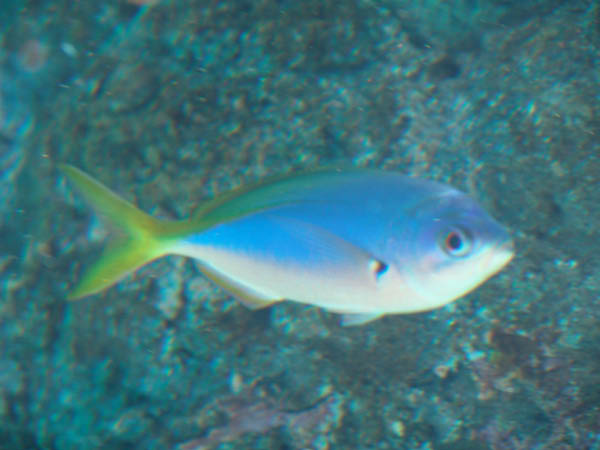 DSC04956
