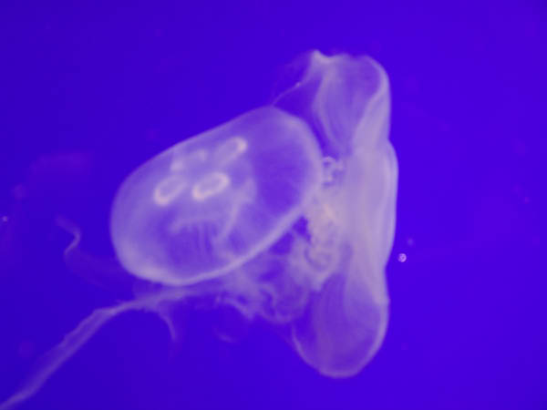DSC04965