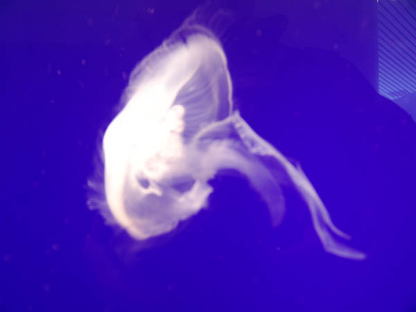 DSC04970