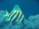 DSC04953