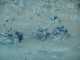 DSC04976