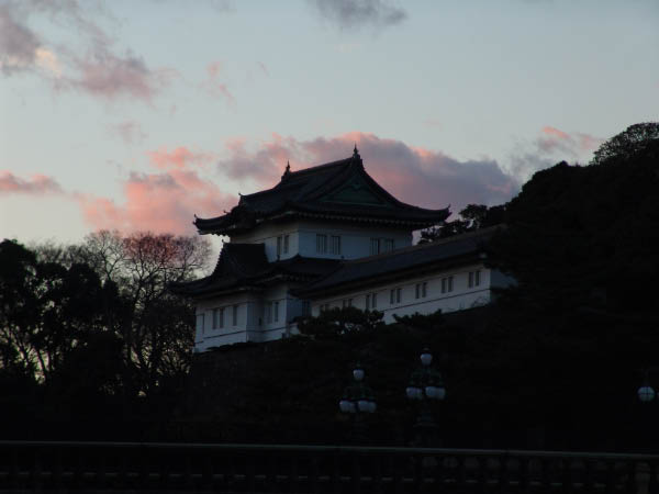 DSC05241